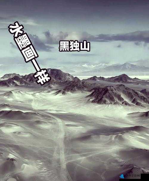 九一一区二区：神秘之地的探索之旅